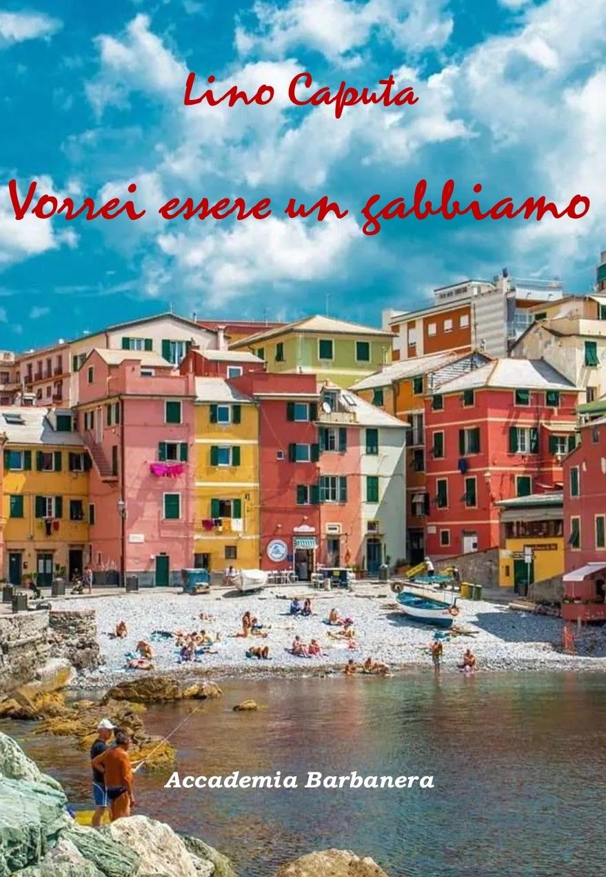 VORREI ESSERE UN GABBIANO
